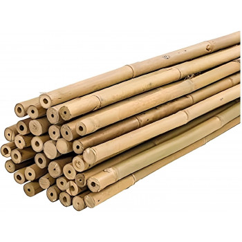 Tutor de bambú Ø 10-12 mm