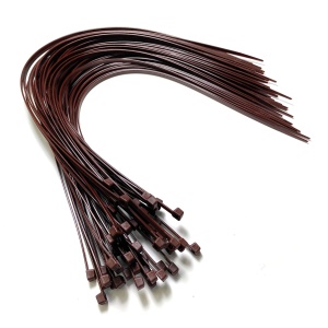 All Star Canvas Hi Converse