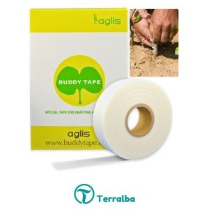 Cinta para injerto- Buddy tape