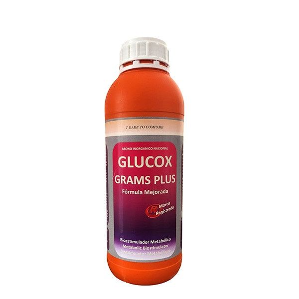 Glucox grams plus