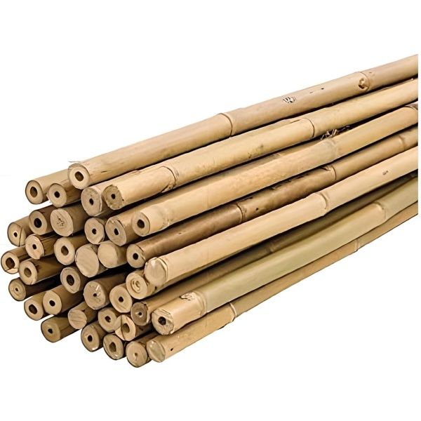 Tutor Bambú 20-22